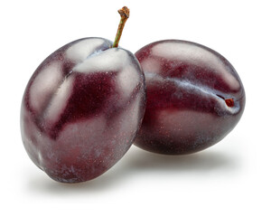 Obraz premium Ripe prune plums isolated on white background. Clipping path.