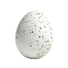 Speckled egg on transparent background.