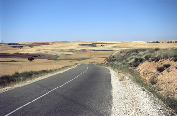 Rural landscape along the road from Burgos to Penafiel, Spain