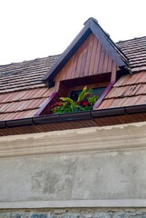 Fototapeta premium House roof with window and flowerpots
