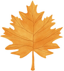 Beautiful autumn leaf isolated on a transparent background. Hand-drawn fall seasonal decoration in watercolor style with texture in warm yellow shades