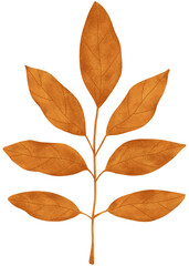 Hand-drawn textured autumn leaf isolated on a transparent background. Beautiful fall seasonal decoration in watercolor style in warm caramel shades
