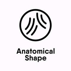 Anatomical shape information sign icon