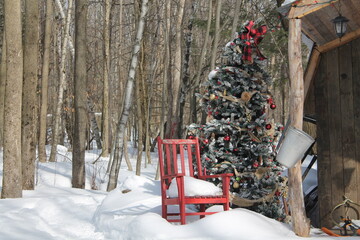 C'est le temps des sucres, c'est la fête du printemps, les cabanes à sucre sont en ébullition