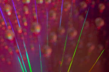 Vibrant Light Streaks with Bokeh Background