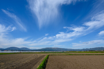 春の青空と広大な田園風景