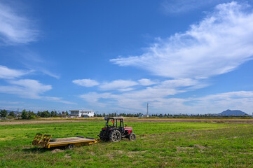 春の青空と広大な田園風景