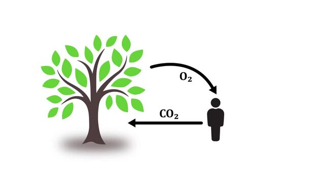 Carbon dioxide icon inside green Tree . Concept ecology video.