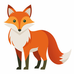 fox cartoon isolated on white