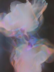 Abstract Vintage Dark Blurred Blossom Flowers Backgrounds Texture