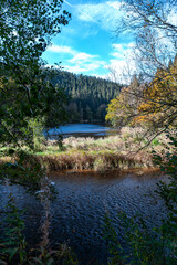 Perlenbachtalsperre auf der Narzissenroute in der Eifel nahe Höfen im Herbst 