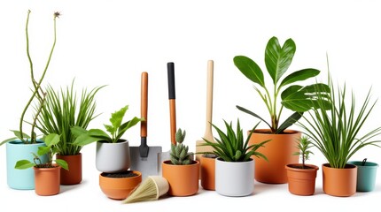 Fototapeta premium A collection of gardening tools, pots, and a variety of plants artistically arranged on a white background.