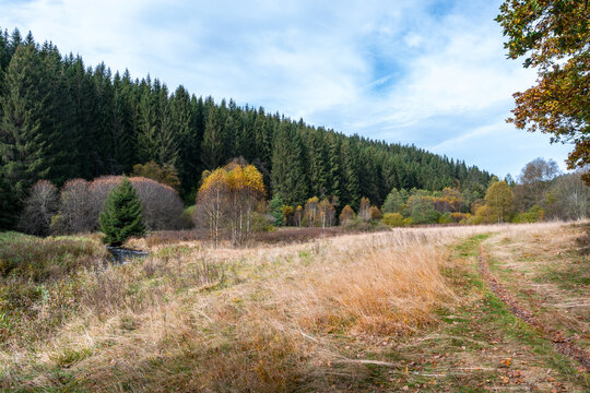 Wanderweg zu den Bieley-Felsen - Das "Matterhorn der Eifel" im Herbst auf der Narzissenroute bei H&ouml;fen, im Perlenbachtal 