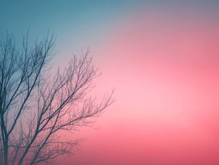 A silhouetted tree against a pastel sky at dusk, capturing the tranquil end of the day