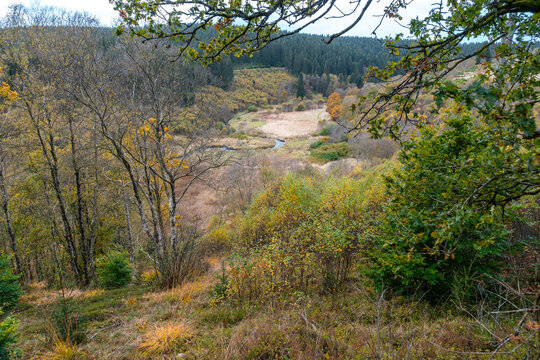 Wanderweg zu den Bieley-Felsen - Das "Matterhorn der Eifel" im Herbst auf der Narzissenroute bei H&ouml;fen, im Perlenbachtal 