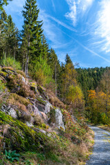 Wanderweg zu den Bieley-Felsen - Das "Matterhorn der Eifel" im Herbst auf der Narzissenroute bei Höfen, im Perlenbachtal 