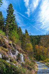 Wanderweg zu den Bieley-Felsen - Das "Matterhorn der Eifel" im Herbst auf der Narzissenroute bei Höfen, im Perlenbachtal 