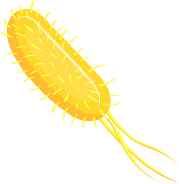Salmonella bacteria with flagella and pili cause food poisoning symptoms like gastroenteritis, diarrhea, vomiting, and fever. Learn about microbiology and stay safe from these harmful germs