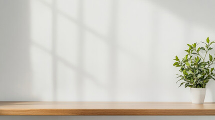 Modern minimalist shelf with plant in bright interior space during daylight hours