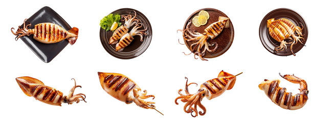 Obraz premium Grilled squid served on plates with lemon and herbs, various styles and angles, white isolated background.