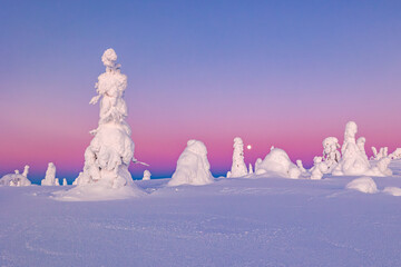 winter landscape with snow