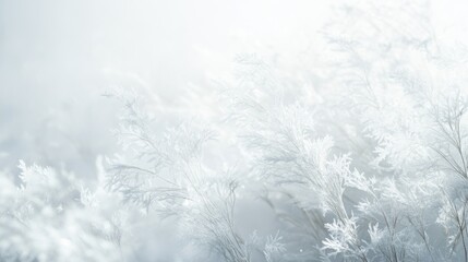 Fototapeta premium Soft frosty abstract background with floating snowflakes and delicate ice patterns, isolated on white
