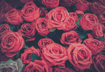 A vintage-inspired background image featuring a dense collection of red roses.
