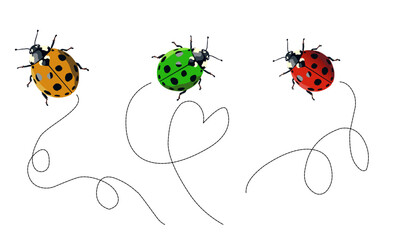 illustration of a ladybug