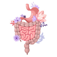 The stomach and intestines are decorated with flowers. Gastrointestinal health. Human organs on a white background. Vector illustration.