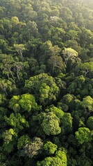 Naklejka premium Lush green rainforest canopy creating a vibrant ecosystem from above