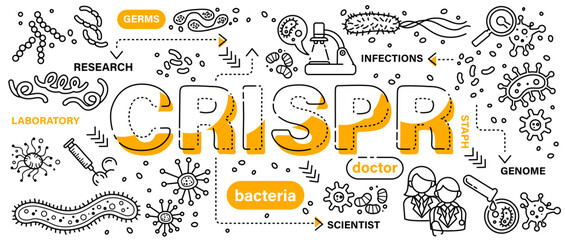 Fototapeta premium CRISPR-Cas9 . Biotechnology and genetic engineering concept . Word with line icon art banner style . Editable stroke . Vector .