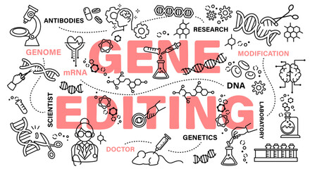 Gene editing . Biotechnology and genetic engineering concept . Word with line icon art banner style . Editable stroke . Vector .