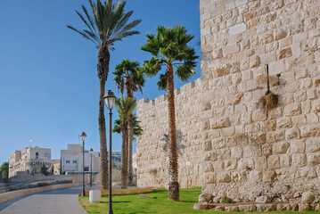 Jaffa Gate or Hebron Gate or David's Gate is a stone portal in the historic walls of the Old City...