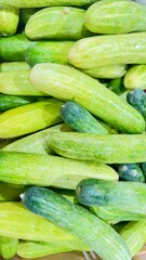 A generous pile of large green cucumbers ripe and ready to eat capturing vibrant color and natural quality suitable for food market organic product or healthy lifestyle stock images highlighting fresh