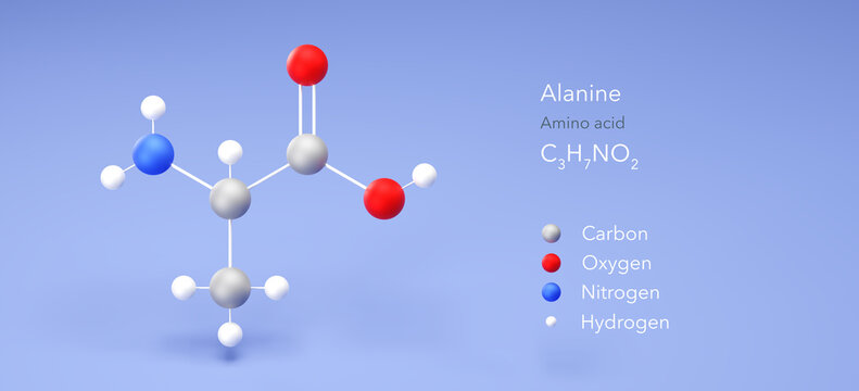 alanine molecule, molecular structure, alpha-alanine, 3d model, Structural Chemical Formula and Atoms with Color Coding
