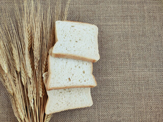 Square pieces of white toast bread and ears of dry wheat