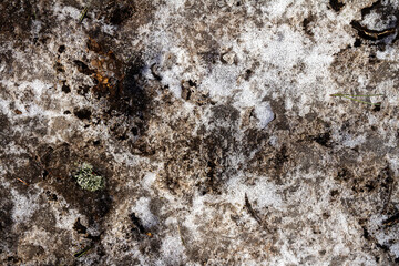 Spring ground covered with thawing snow. Melting ice on dry grass close up.