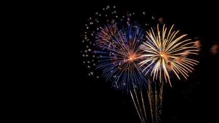 Fototapeta premium Fireworks exploding in vibrant colors over the night sky, with room for text below.