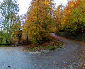 Fototapeta premium Curve on mountain road in autumn