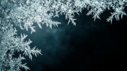 Obraz premium Frosty pattern frame on a black background. Winter overlay design with place for text. Frost on the glass, freezing effect. Christmas crystals concept copy space banner.