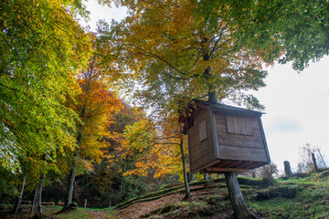 Wooden house built on tree