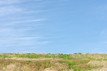 Obraz premium 青空と草原－埼玉県さいたま市 