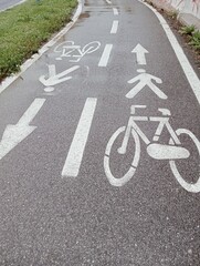 Obraz premium bicycle lane sign
