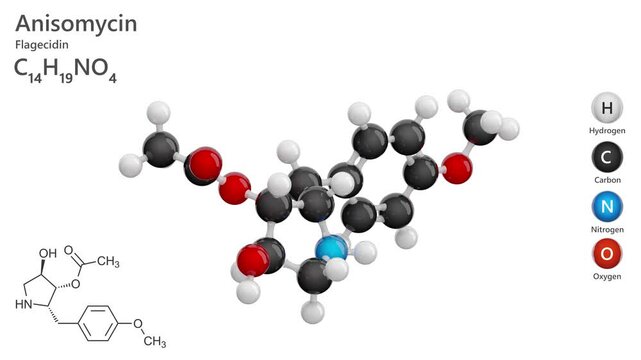 Anisomycin or Flagecidin. Antibiotic. Animated 3D model of a molecule. Molecular formula: C14H19NO4. Chemical model: Ball and stick. White background. 3D rendering. Seamless loop.