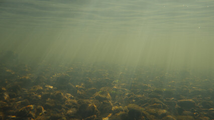 Light rays shining underwater in a small river during sunrise