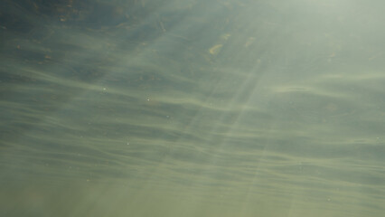 Light rays shining underwater in a small river during sunrise