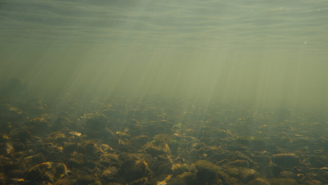 Light rays shining underwater in a small river during sunrise