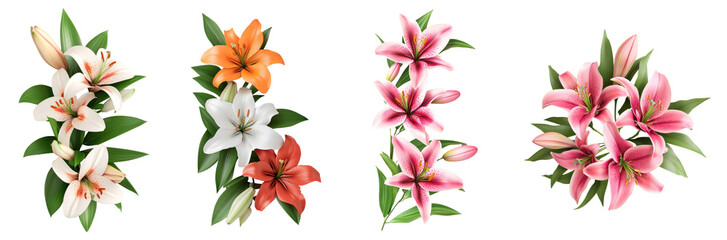 Fototapeta premium Elegant flat lay of a blooming lily, showcasing vibrant petals, soft textures, and harmonious colors, creating a serene and inviting atmosphere.