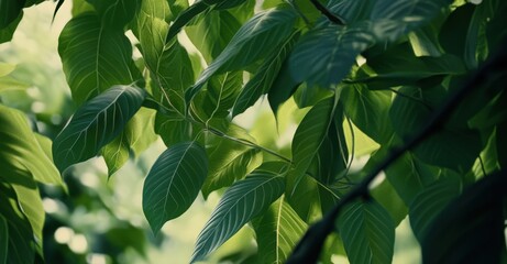 Lush green foliage with vibrant leaves