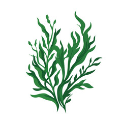 Professional Seaweed Vector Logo Design Template with Vector Illustration